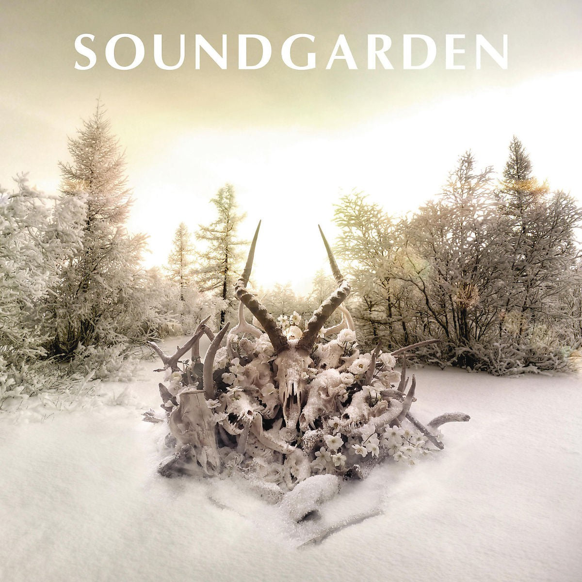 Soundgarden King Animal Vinyl 428514
