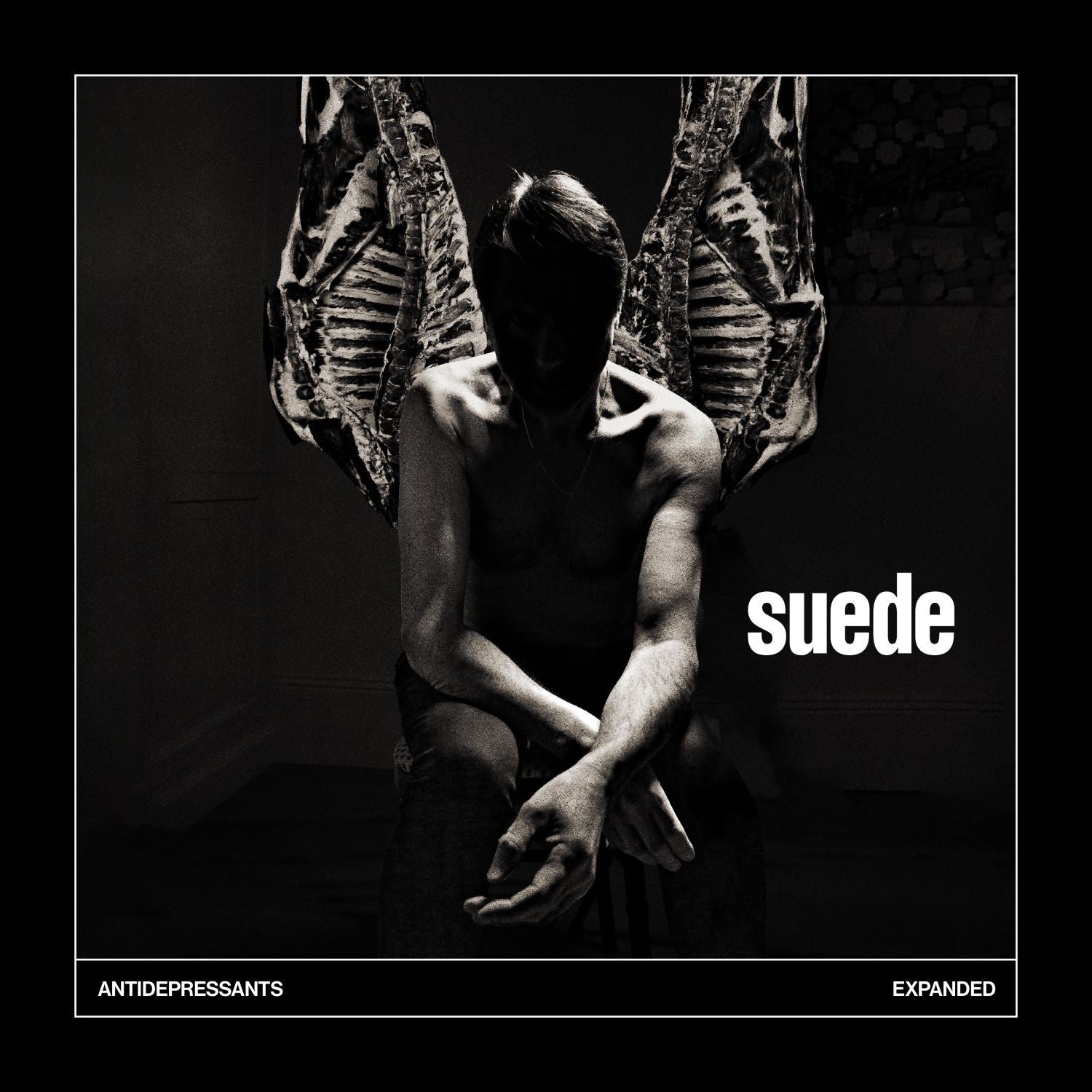Suede Antidepressants: Expanded CD 449156