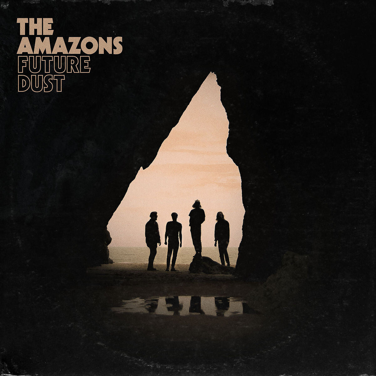 The Amazons Future Dust LP 195323
