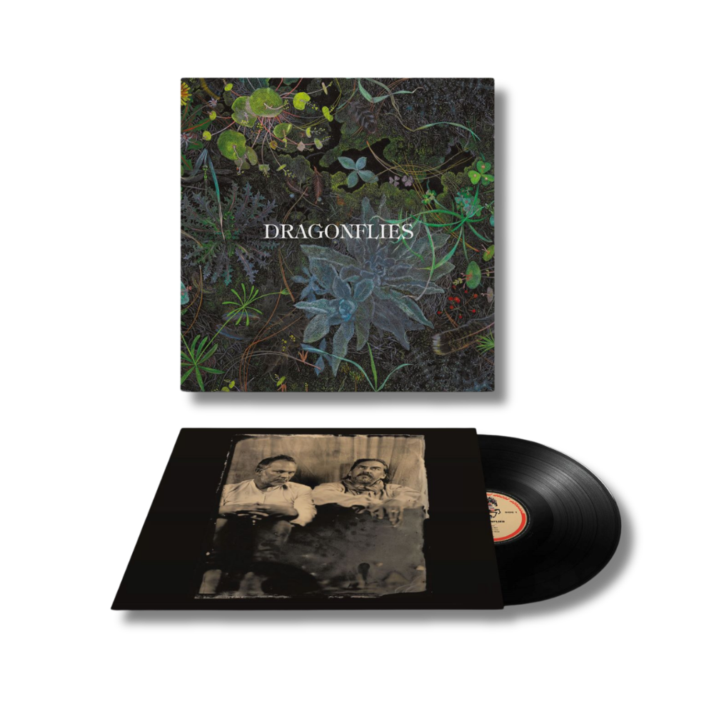 The Dragonflies Dragonflies LP 453967