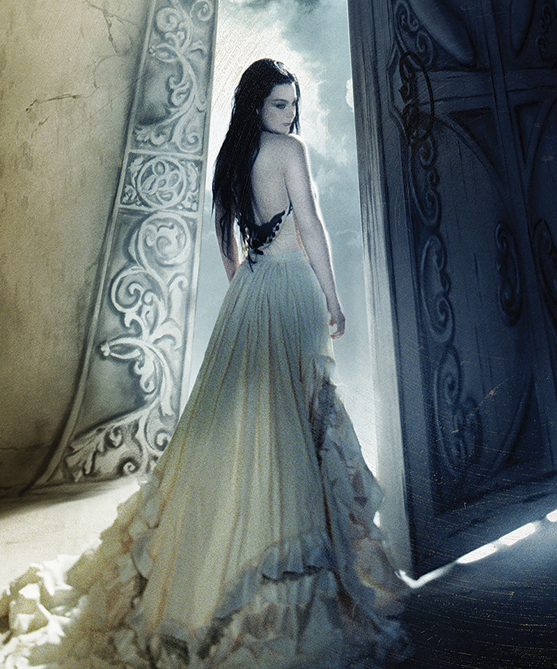 Evanescence - The Open Door
