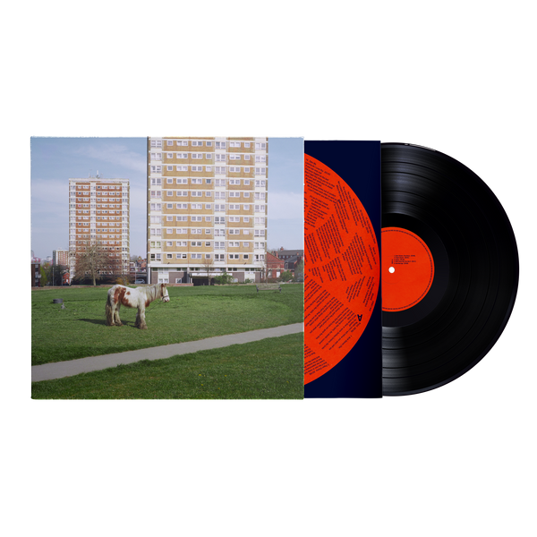 Westside Cowboy - It Goes On (LP)