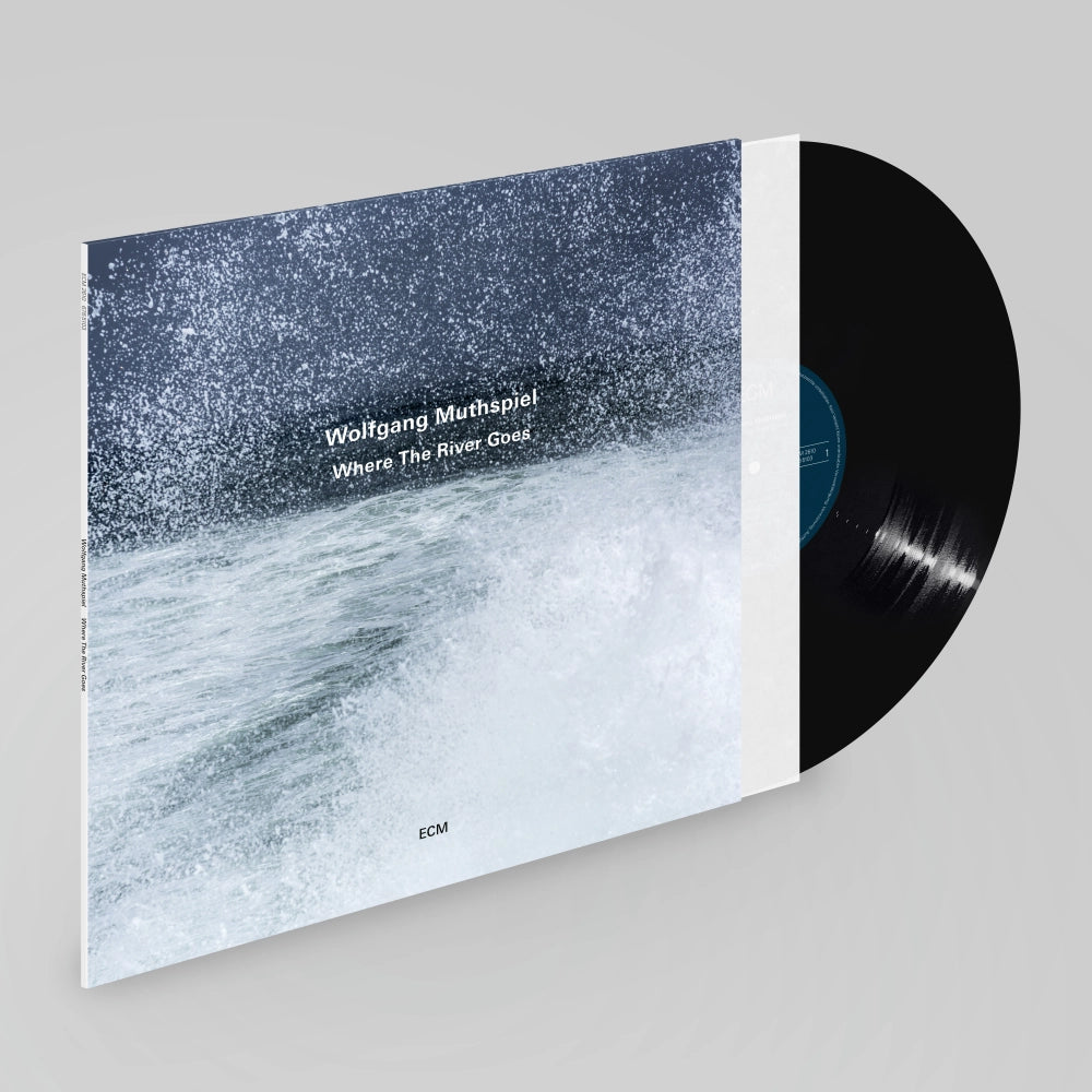 Wolfgang Muthspiel, Ambrose Akinmusire, Brad Mehldau, Larry Grenadier, Eric Harland Where The River Goes Vinyl LP 463347