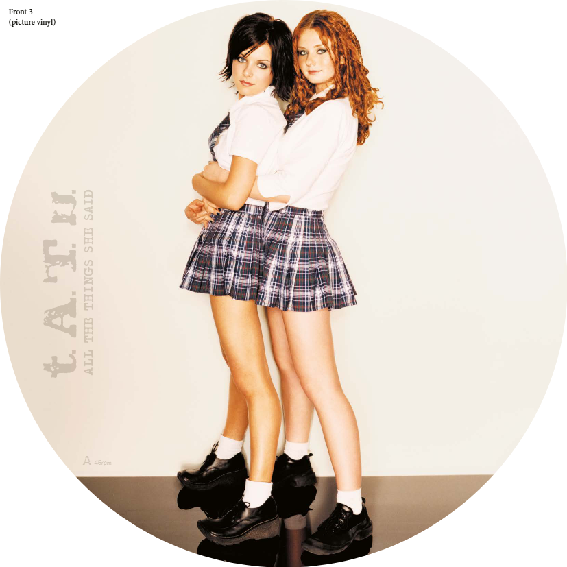 t.A.T.u. All The Things She Said 12inch picture vinyl 45rpm 436249